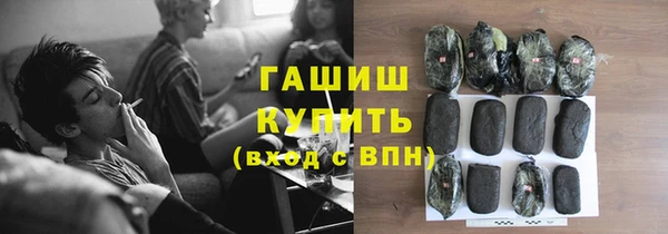 хмурый Аркадак