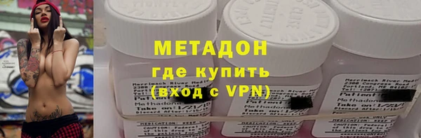 хмурый Аркадак