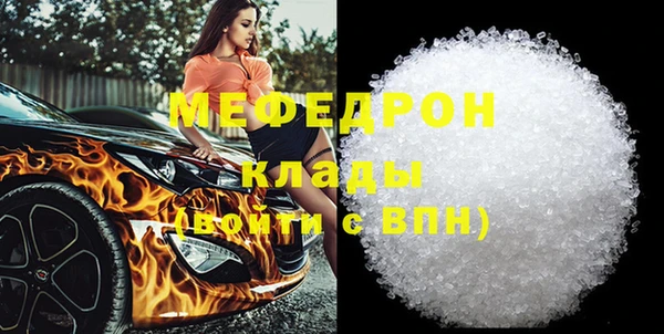 хмурый Аркадак