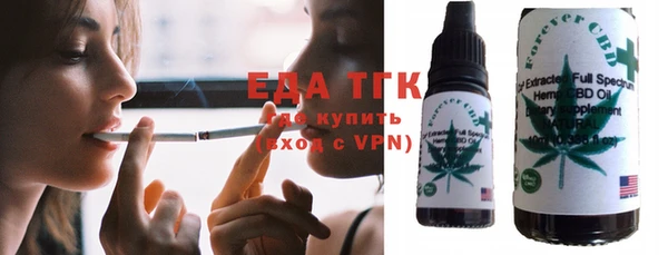 хмурый Аркадак