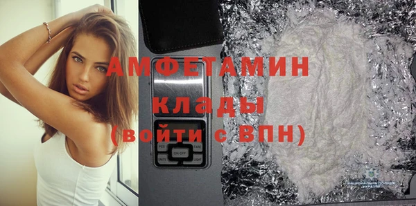 хмурый Аркадак
