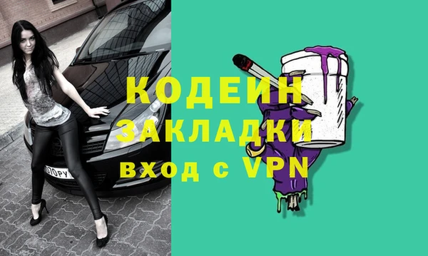 хмурый Аркадак