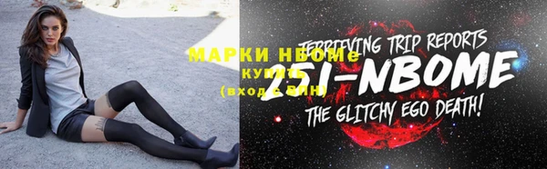 хмурый Аркадак