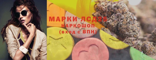 хмурый Аркадак