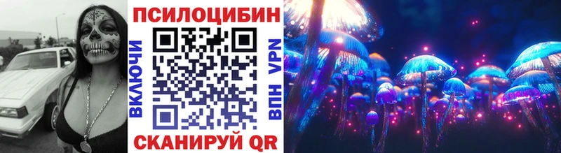 маркетплейс официальный сайт  Туринск  Галлюциногенные грибы Psilocybe 